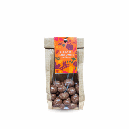 Sachet Amandes Chocolat et noix de coco 150g