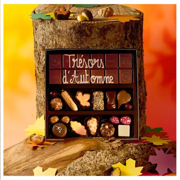 Boite chocolats d'Automne assortis et tablette de chocolat au lait ou noir – Image 2