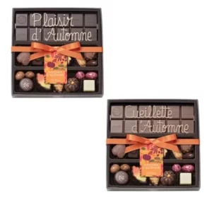 Boite chocolats d'Automne assortis et tablette de chocolat au lait ou noir